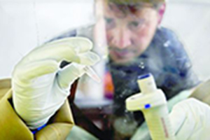 法国将建立危机机制 严防埃博拉病毒入境