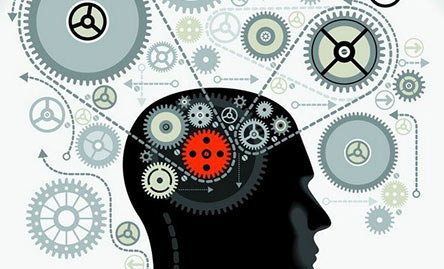 发现大脑的&ldquo;定位系统&rdquo;&mdash;&mdash;解读2014年诺贝尔生理学或医学奖