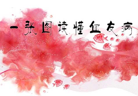 一张图读懂血友病