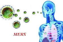 MERS疫情联防联控重点确定
