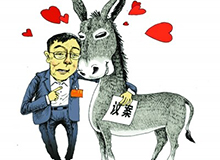 山东两会现&ldquo;毛驴议案&rdquo;为驴争取与牛羊平等待遇