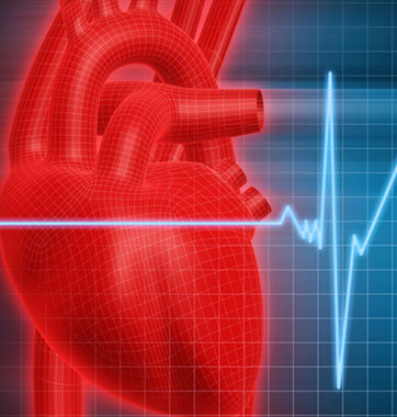 动脉粥样硬化心血管疾病高发的主要原因