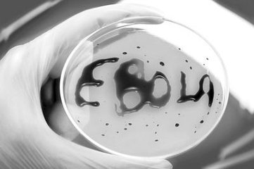 世卫组织宣布几内亚埃博拉疫情结束