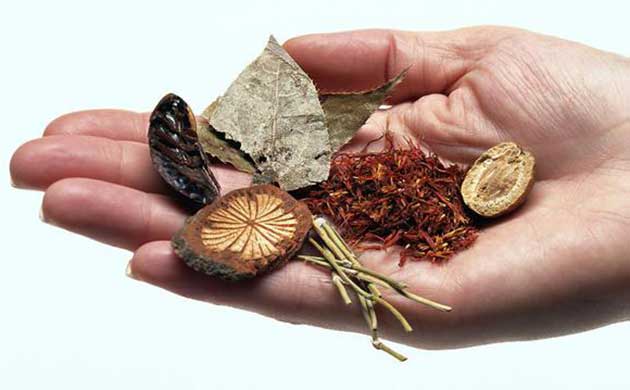 走进&ldquo;昆中药&rdquo;助力新发展