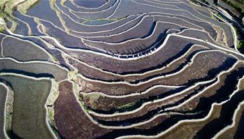 湖北蘄春：梯田景觀成就扶貧産業