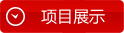 项目展示