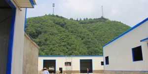 走访山亿硅藻泥 
 