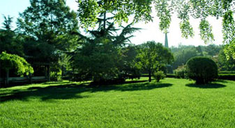 宽城区打造绿化新亮点