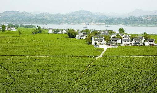 息烽县投资1400余万建万亩高标准农田