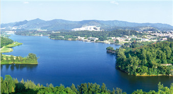 金沙洲新盘跳水三四千 现到抄底时？