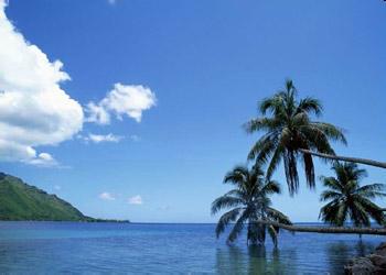 龙华区多部门联合执法 拆违达万多平米