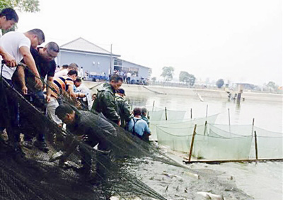 富阳五丰岛开渔节精彩亮相