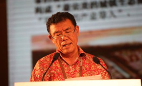 陈淮：城镇化红利可持续增长如何再造地产繁荣