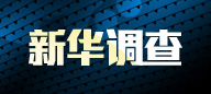 新华调查