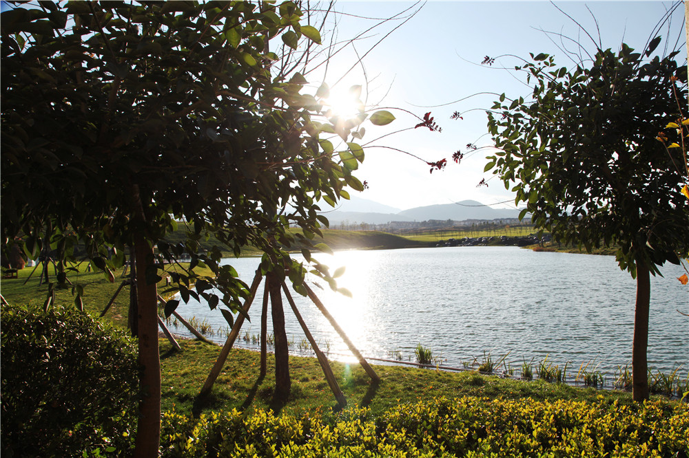 遇见 原乡 预见腾冲-新华房产南京站