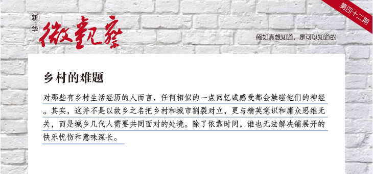 【新华微观察】乡村的难题