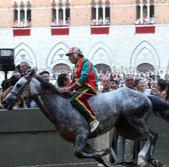 意大利古城锡耶纳举行赛马节(组图)