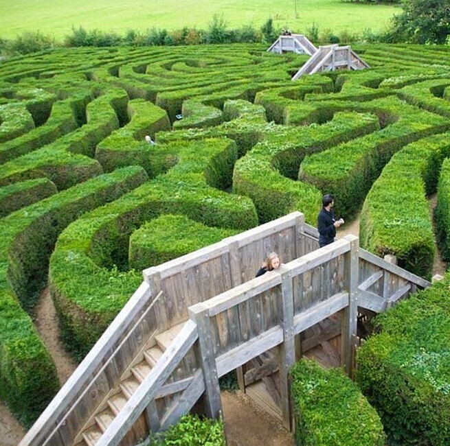 探秘世界最长花园迷宫