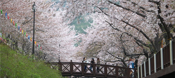 2015年这世界的春天