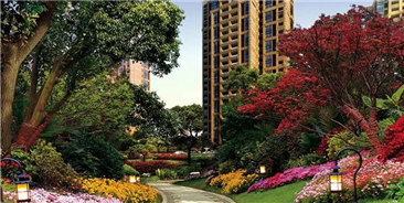 大东将有2000余户棚户区居民搬入新居