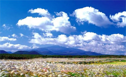 美的大手笔布局旅游地产