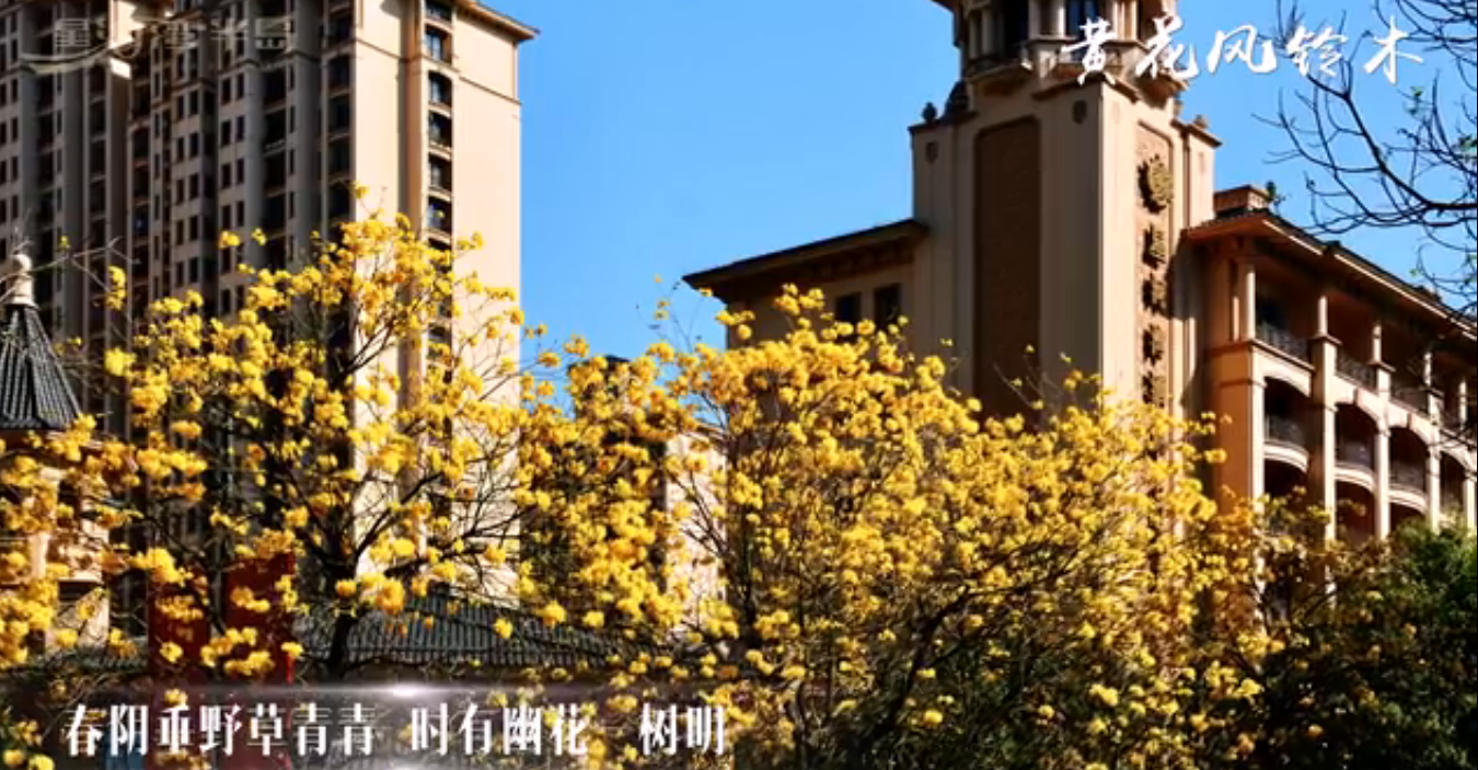 2020&ldquo;售楼处的春天&rdquo;&mdash;广东广州星河湾半岛