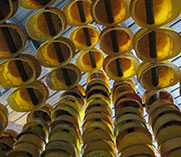 边缘居住 关注城市建造者