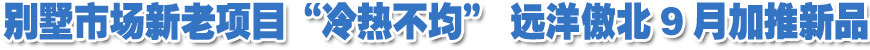 别墅市场成交持续企稳 新老项目&ldquo;冷热不均&rdquo;