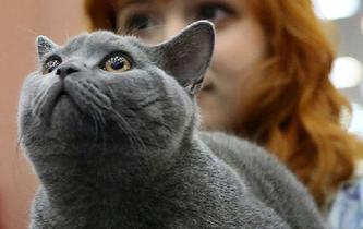 北京经纪人协会房地产专委会赴南方城市调研