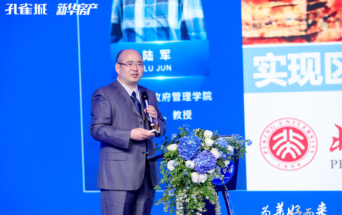 陆军：实现区域价值需跨越&ldquo;三重门&rdquo;