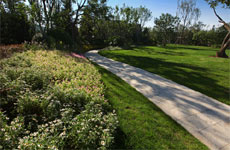 园林示范区实景