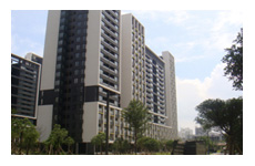 广州富力金港城四期 污染问题