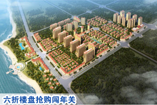 2013房价也&ldquo;太囧&rdquo; 海南6折楼盘抢购闯年关(图)