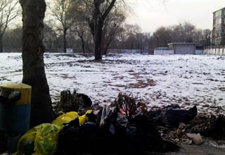 图片报道:农展馆地块有望成为新地王