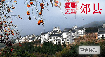 武清商务区新年高起步