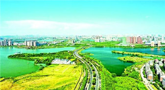 武汉临空经济开发区观察