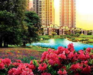 龙湖•九里香醍