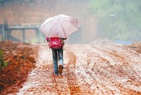 11岁山村女孩的上学路