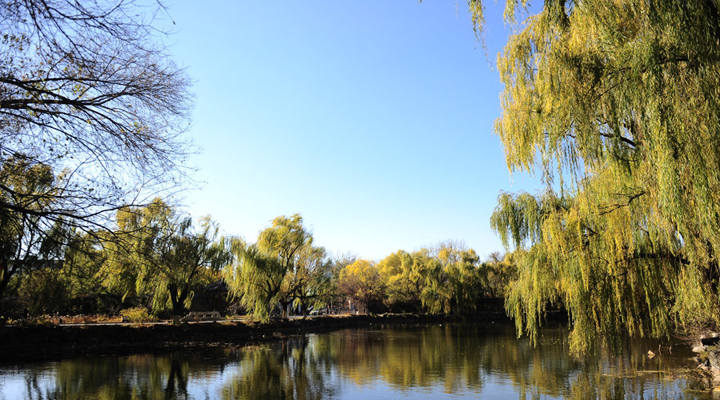 风光旖旎未名湖