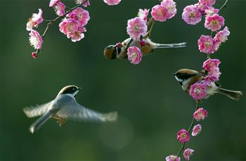 海通证券:华夏幸福商业模式再升级,四大壁垒筑
