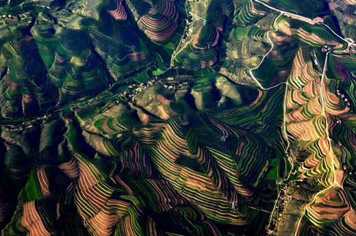 我的中国梦之黄土高原梯田（四） 徐骞