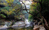 秋到山涧 张伟