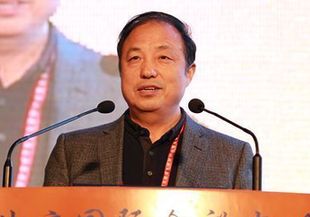 中国科学院院士郭华东发言