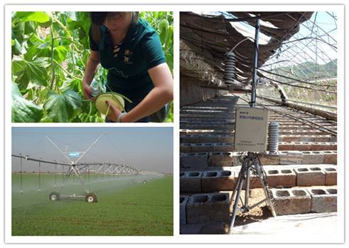 绿生活领导人赴农垦集团考察