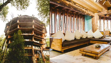 以树为屋 奢享智利奢华环保酒店(组图)