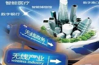 信息惠民国家示范城市创建工作方案编制要点