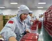 广州网商提前备战&ldquo;双11&rdquo;