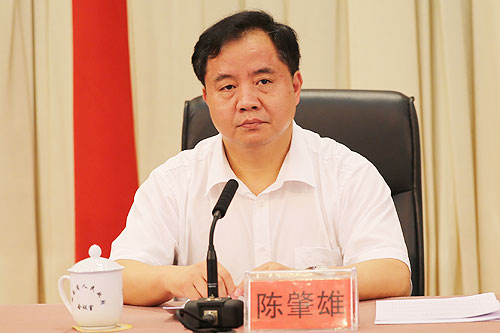 陈肇雄：着力提升对通讯信息诈骗的发现、防范与打击能力