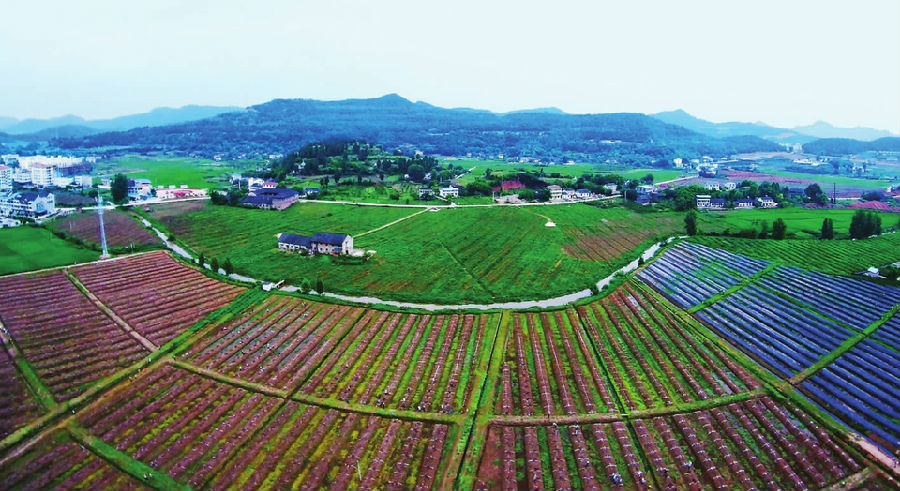 西充gdp_2016年四川各区县GDP排名出炉,咱们西充的排名居然