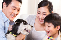 人保财险保险选购